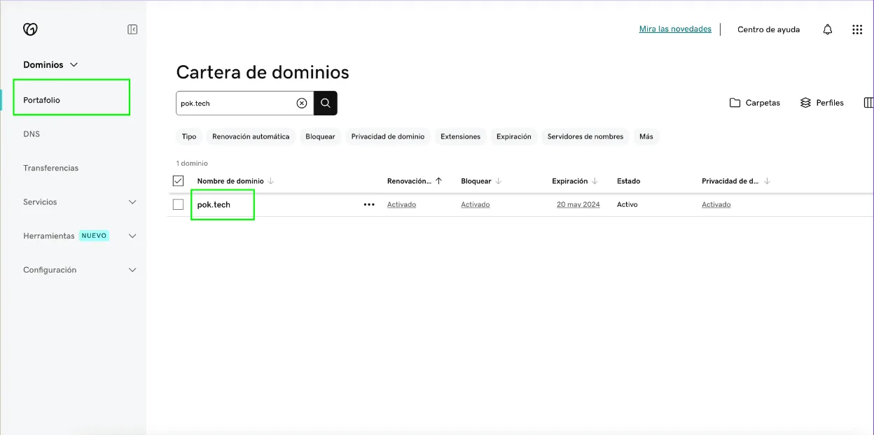 GoDaddy Portfolio with the list of domains