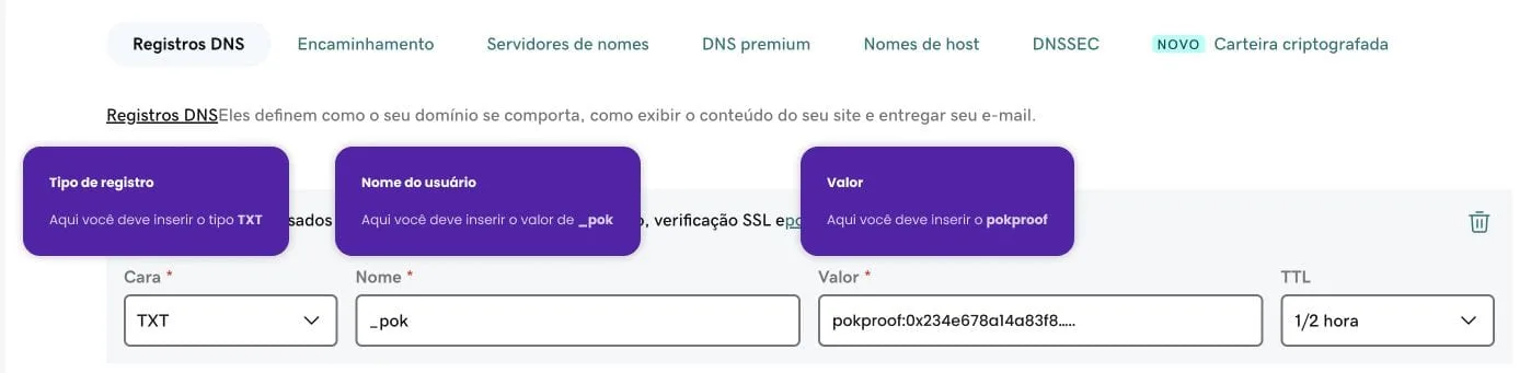 Formulário do registro TXT com o nome _pok e a POK proof como valor